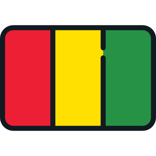 Guinea flag world guinea icon
