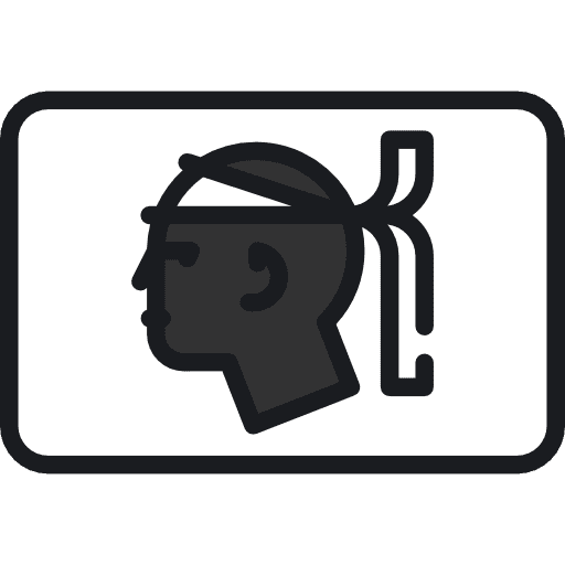 Corsica flag france flags icon