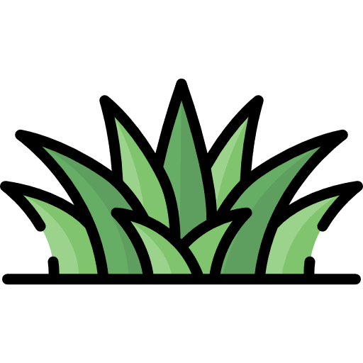 Grass grass leaves soil ground icon