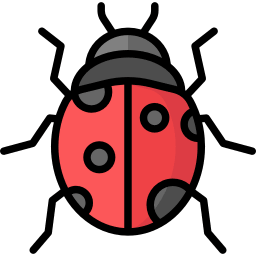 Ladybug bug animals animal kingdom icon