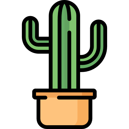 Cactus dry nature botanical icon