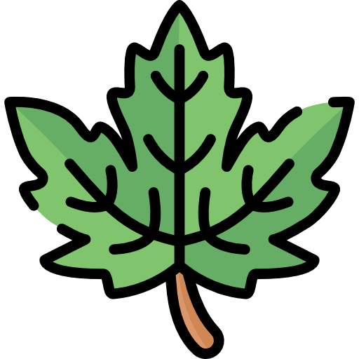 Leaf botanical holidays plant icon