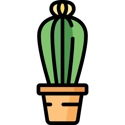 Cactus cactus botanical dessert icon