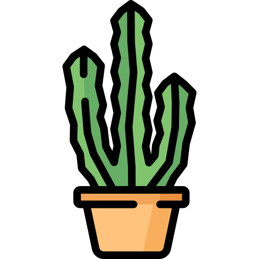 Cactus plant nature cactus icon