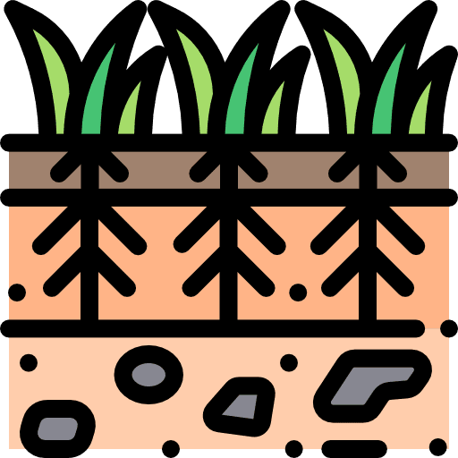 Plants growth soil nature icon