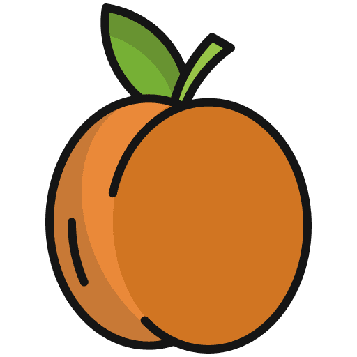 Apricot vegetarian fruit apricot icon