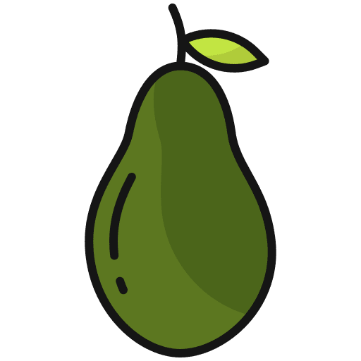Avocado fruit avocado diet icon