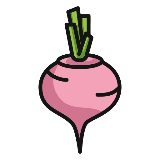 Beetroot food and restaurant supermarket vegetable icon