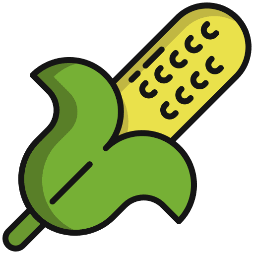 Corn diet cereal corn icon