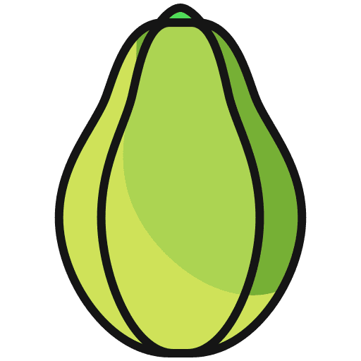 Papaya papaya healthy food farming and gardening icon