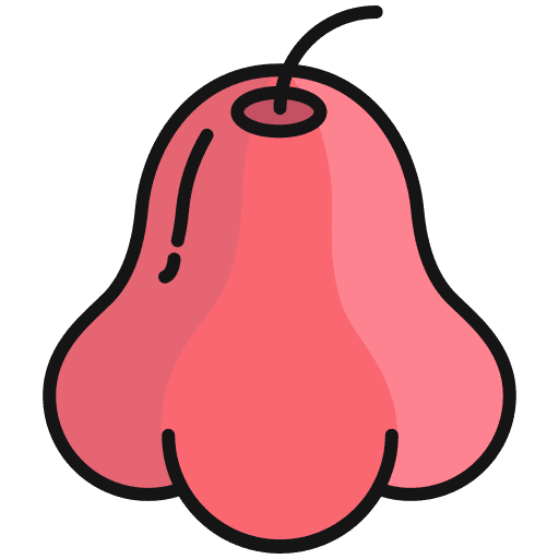 Rose apple fruit rose apple farming and gardening icon