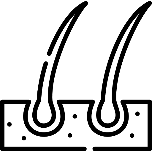 Hair dermis follicle organ icon Hair dermis follicle organ icon