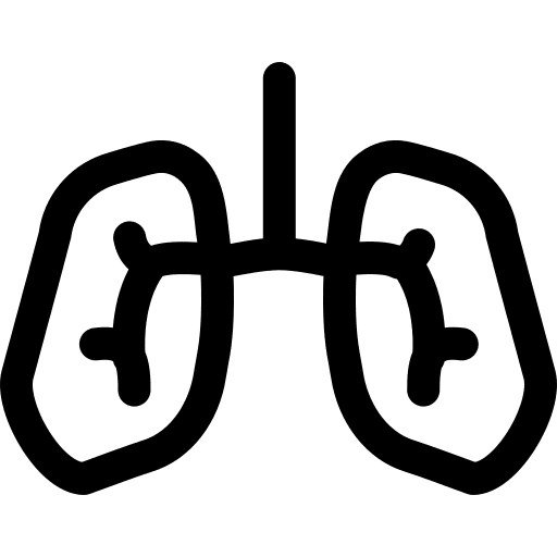 Lungs organ body parts breath icon Lungs organ body parts breath icon