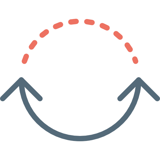 Circuit multimedia option circuit orientation icon
