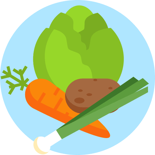 Vegetable carrot salad food icon Vegetable carrot salad food icon