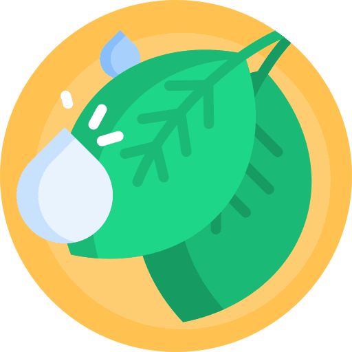 Natural leaf nature plant icon Natural leaf nature plant icon