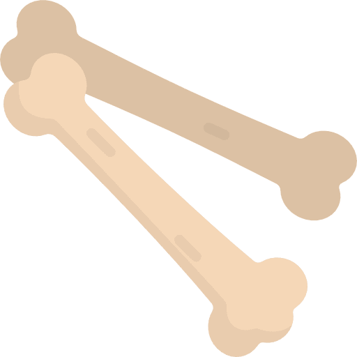 Bones healthcare and medical pet bone icon