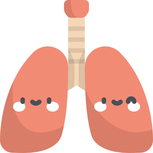 Lungs anatomy medical medicine icon Lungs anatomy medical medicine icon