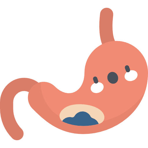 Stomach pain organ digestion icon Stomach pain organ digestion icon