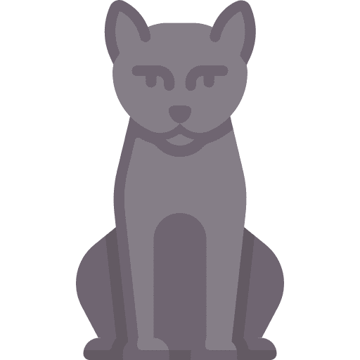 Cat cat mammal breed icon Cat cat mammal breed icon