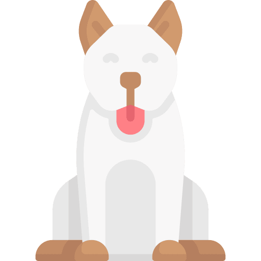 Dog dog mammal animal icon Dog dog mammal animal icon