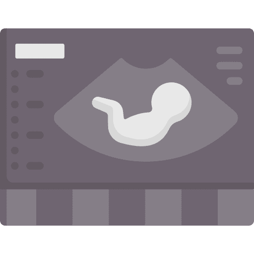 Ultrasound pregnancy healthcare and medical hospital icon Ultrasound pregnancy healthcare and medical hospital icon