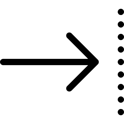 Next skip multimedia orientation icon