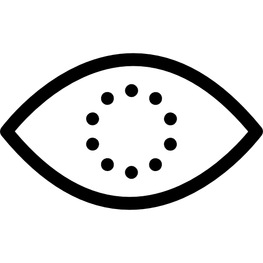 Eye eye optical multimedia option icon