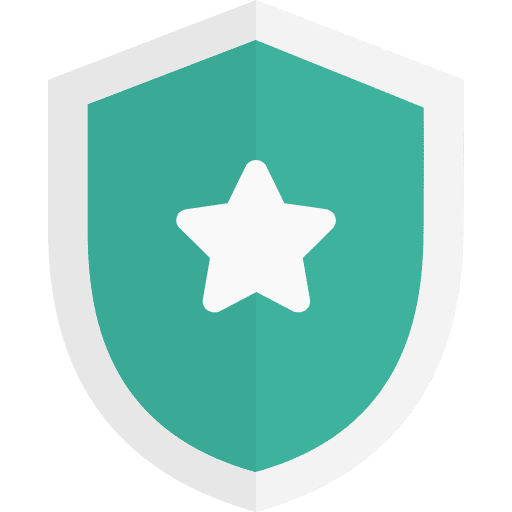 Shield security protection defense icon