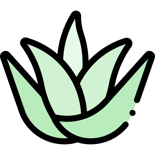Aloe vera beauty nature aloe vera icon