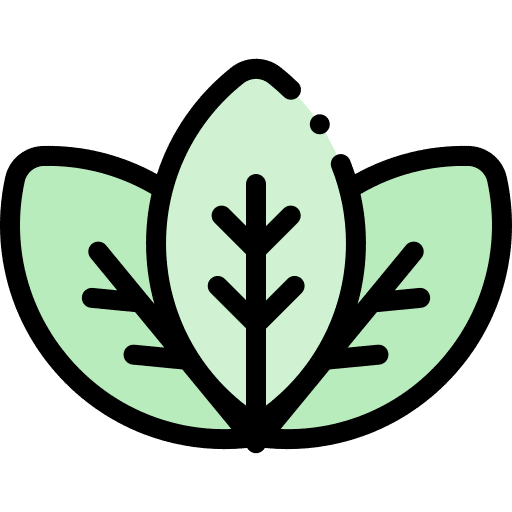 Leaves ecology and environment sustainable plant icon Leaves ecology and environment sustainable plant icon