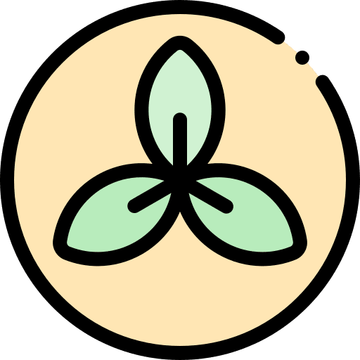 Organic leaf eco friendly plant based icon Organic leaf eco friendly plant based icon