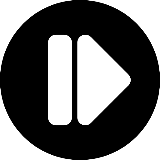 Next multimedia option direction skip icon