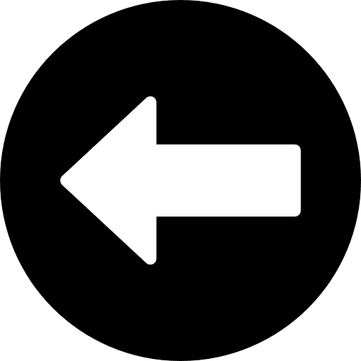 Previous previous multimedia option orientation icon