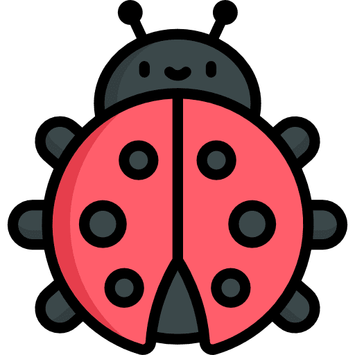 Ladybug bug insect ladybird icon