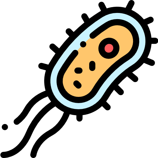 Bacteria virus bacteria biology icon