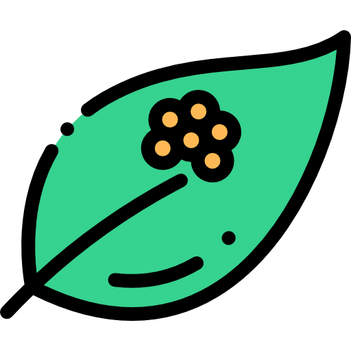 Eggs frog sprout leaf icon Eggs frog sprout leaf icon