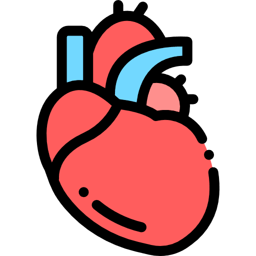 Heart cardiology beat human body icon