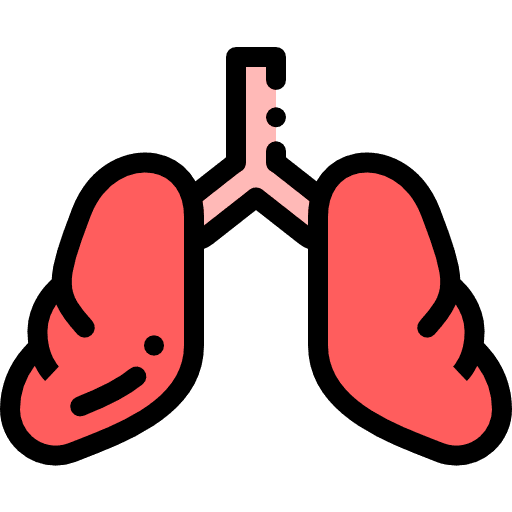 Lungs breath human body organs icon Lungs breath human body organs icon