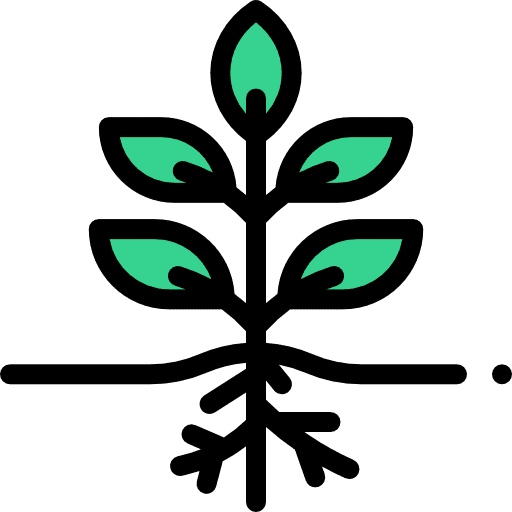 Plant maturity leaf herbs icon
