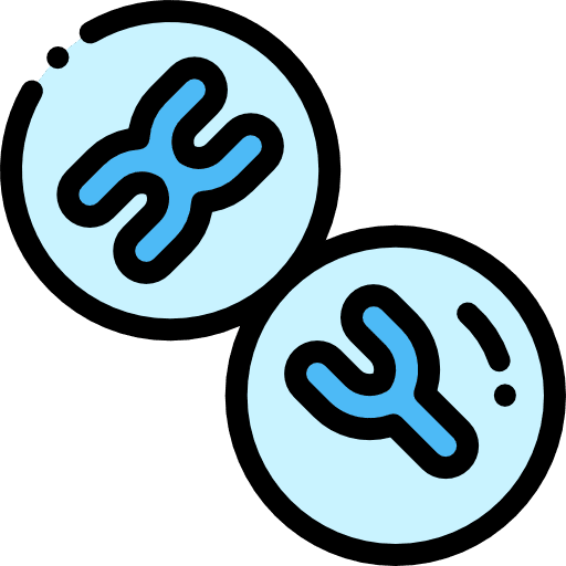Chromosome education healthcare and medical medical icon Chromosome education healthcare and medical medical icon