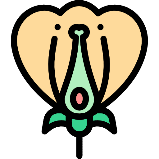 Flower botanical nature flower icon Flower botanical nature flower icon