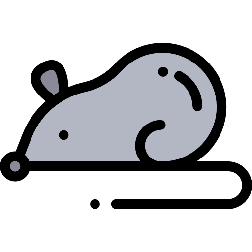 Mouse experiments animals mouse icon Mouse experiments animals mouse icon