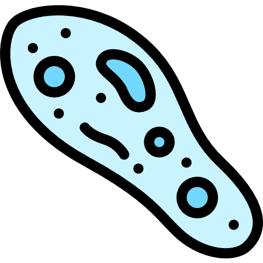 Paramecium bacteria biology microorganism icon Paramecium bacteria biology microorganism icon