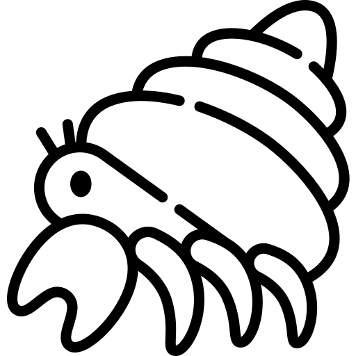 Hermit crab nature animal animals icon Hermit crab nature animal animals icon