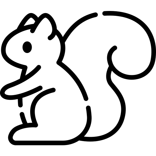 Squirrel wild life rodent mammal icon