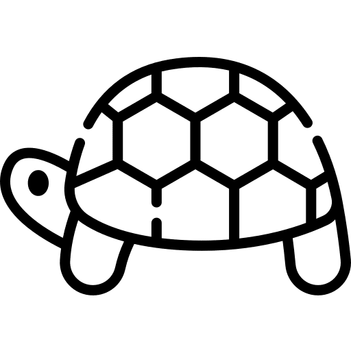 Turtle animals zoo reptile icon Turtle animals zoo reptile icon