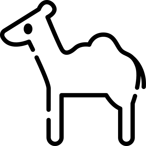 Camel camel mammal desert icon Camel camel mammal desert icon