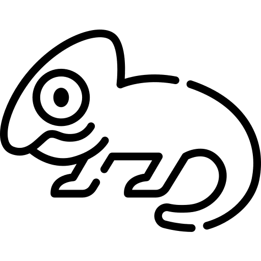 Chameleon animal chameleon camouflage icon Chameleon animal chameleon camouflage icon