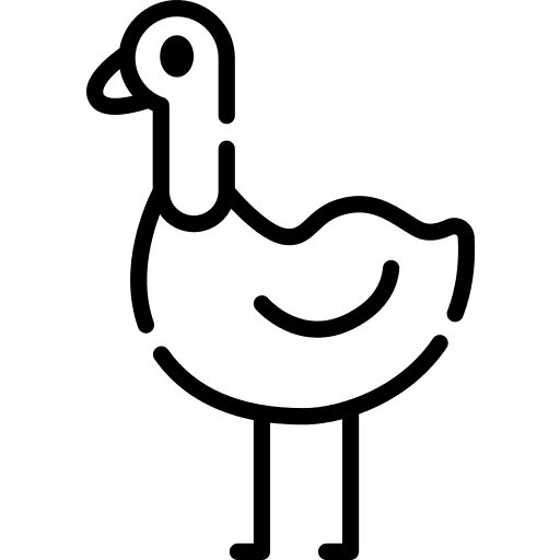 Ostrich zoo wildlife bird icon Ostrich zoo wildlife bird icon